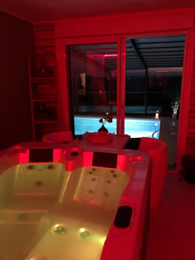Logement Avec Piscine Couverte Chauffee Du 15 Avril A Octobre Et Spa Privatifs, Vue Estivareilles  Apartment
